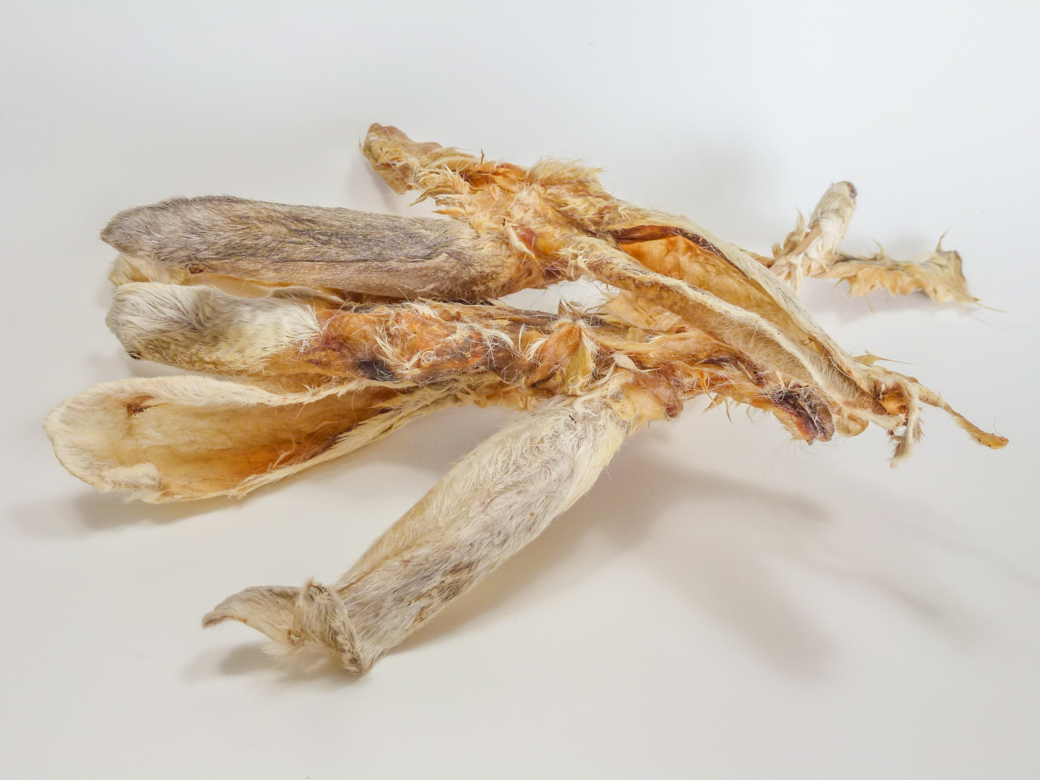 tender, tubeworm, twisted, dried, mummy