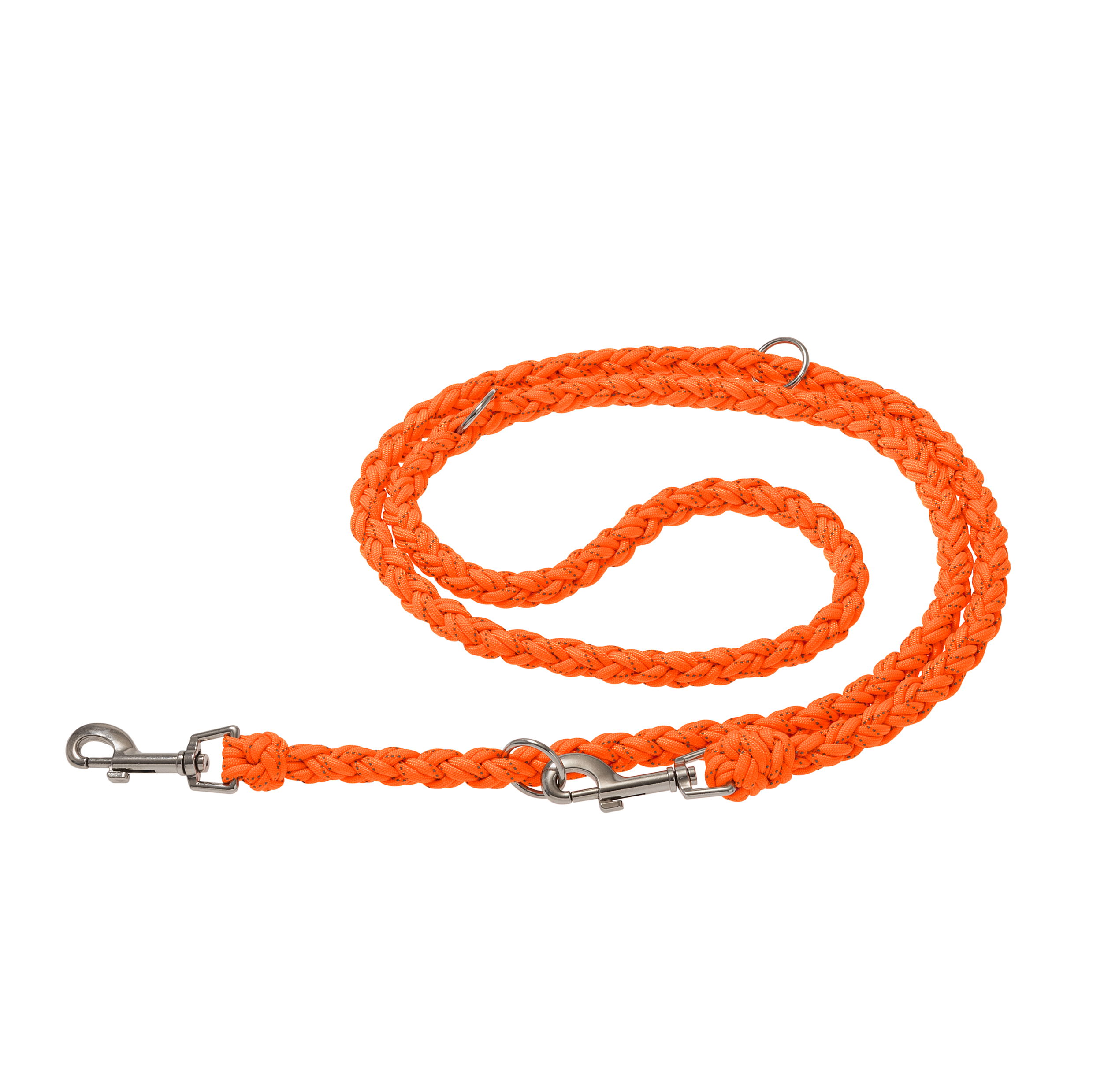 orange, Seil, Leine, Hund, geflochten