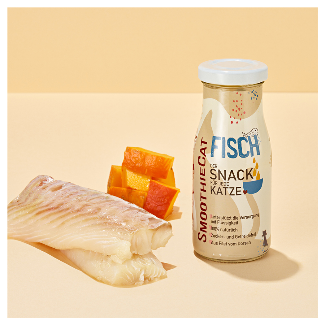 fisch, snack, flasche, flüssigkeit, katze