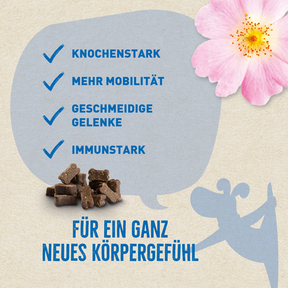 Schokolade, Körperschmack, Immunstark, Gelenke, Mobilität