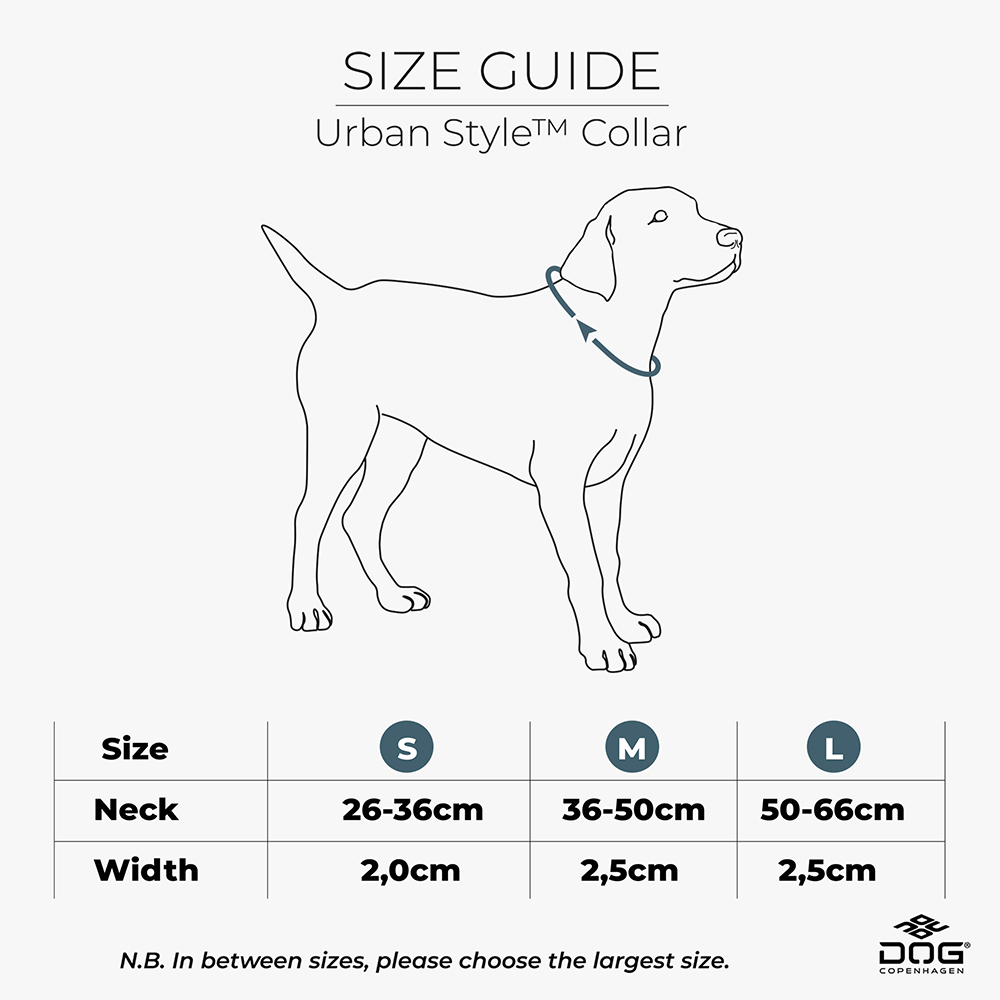 Diagramm, Handlung, Hund, Haustier, Zeiger