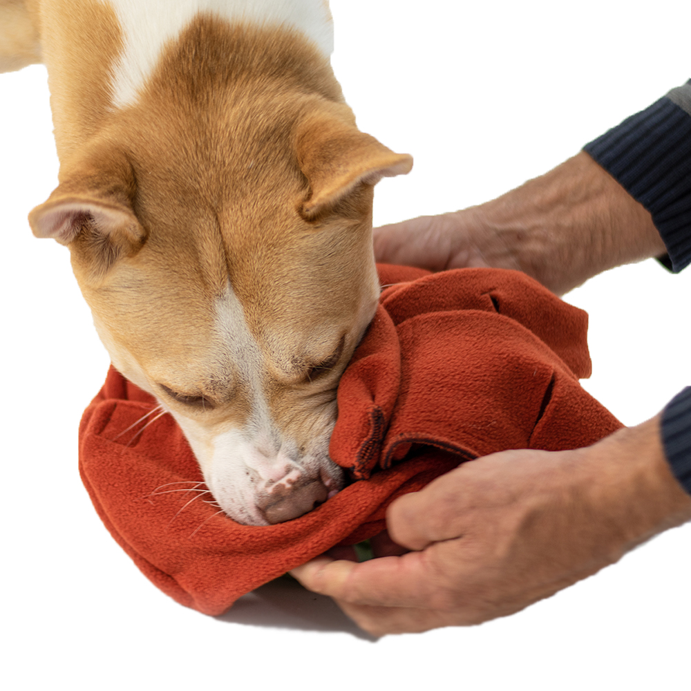 Hund, Pflege, Waschlappen, Fleece, Handschuhe