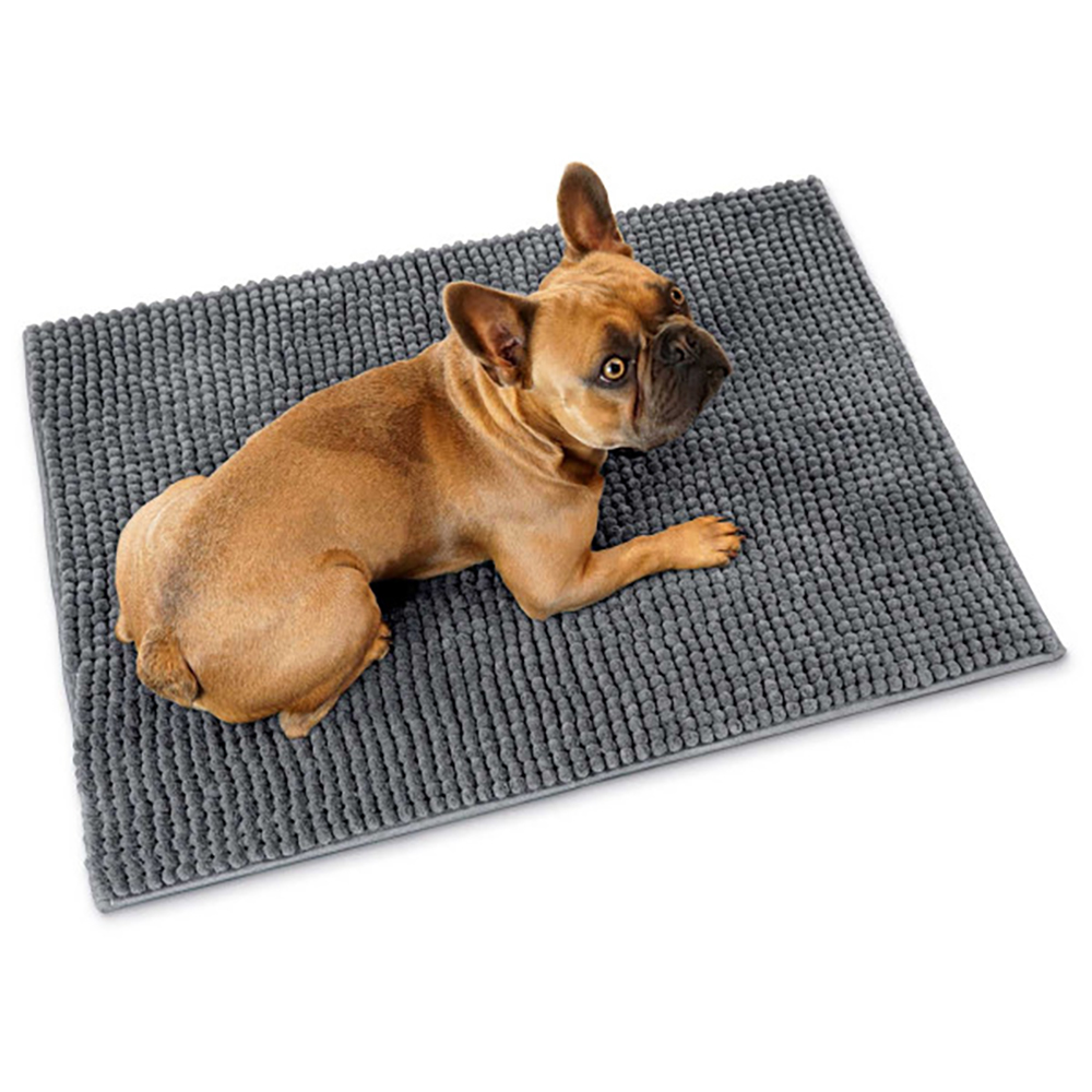 Hund, Säugetier, Haustier, Matte