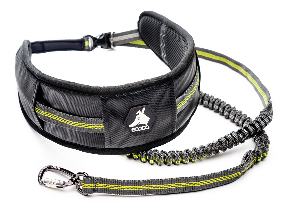 Zubehor, Riemen, Tasche, Handtasche, Leine