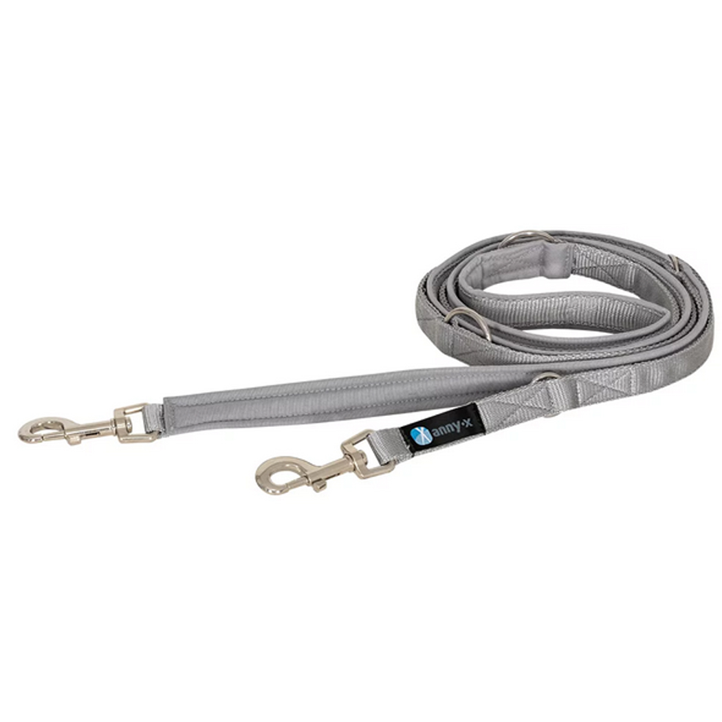 Hundeleine, graues Nylon, verstellbare Leine, Metallkarabiner, Doppelkarabiner