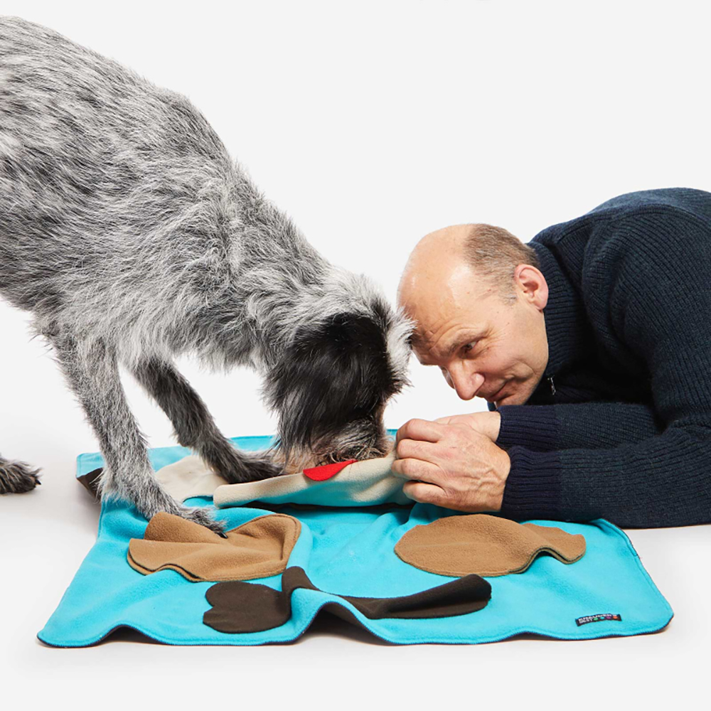 Hund, Hundedecke, Tiermatte, blaues Matte, Puzzlesmatte