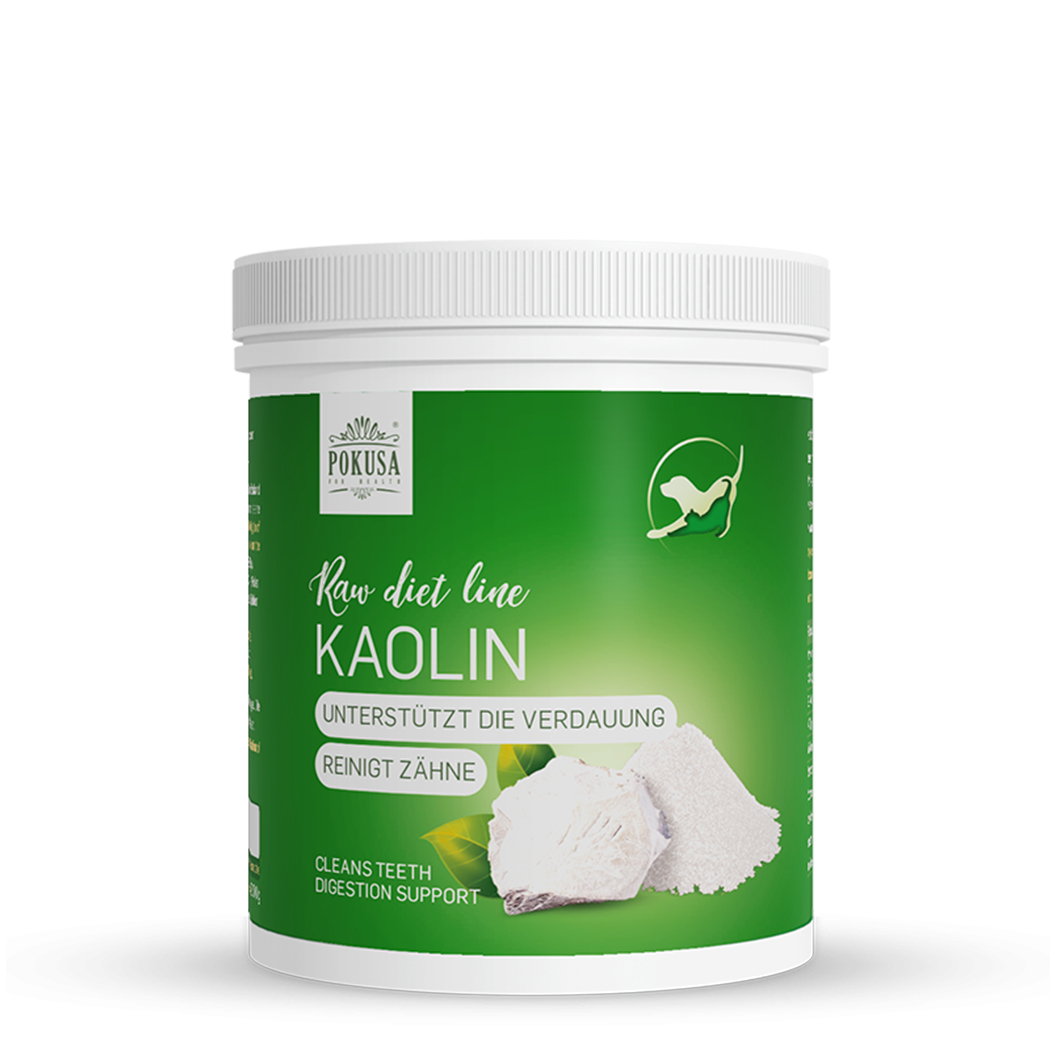 kaolin, Pulver, Zahn, Schale, Grüner Behälter