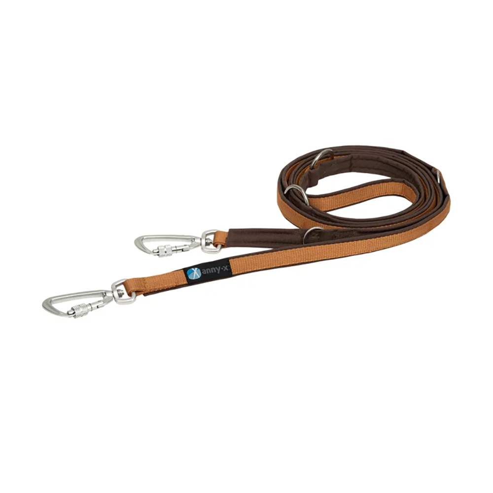 Halsband, Kleine Leine, Leder, Schlaufe, Karabiner