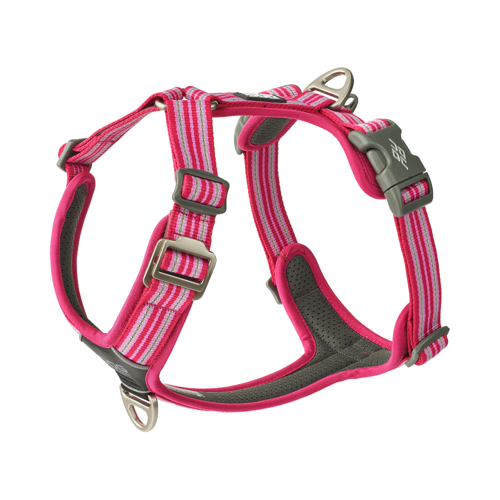 Hundehalsband, Katzenauslauf, Kunststoffschnallen, Strapzenband, Pink