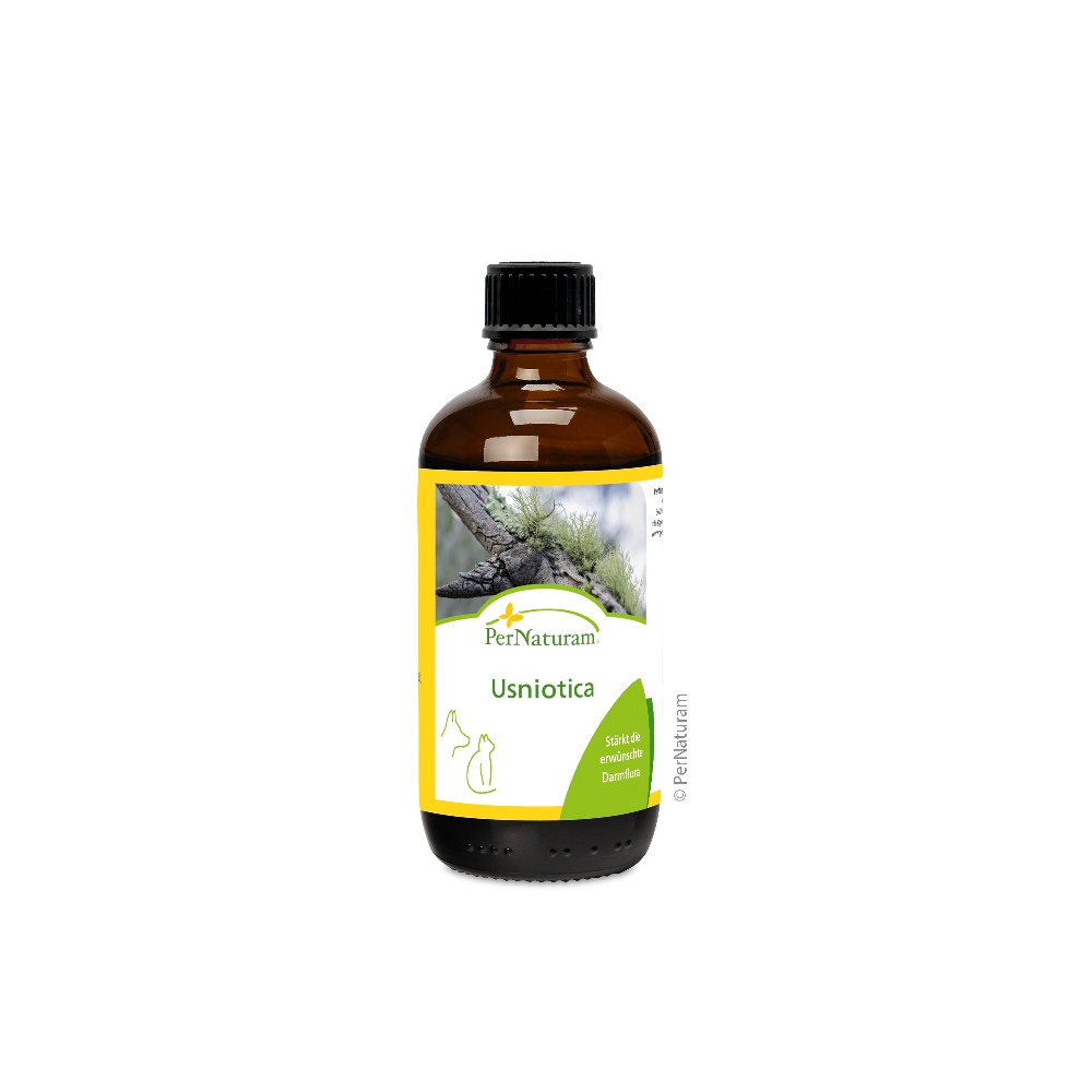 Usniotica, Darmflora, Tinktur, Kräuter, Naturheilmittel