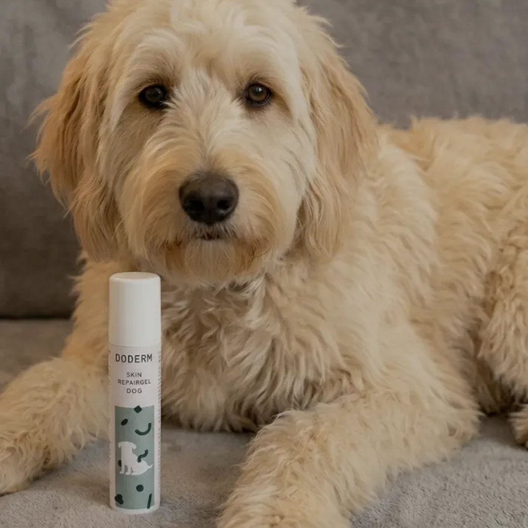 Hund, Hundes Produkt, Hautreparatur Gel, Tierpflege, Flasche