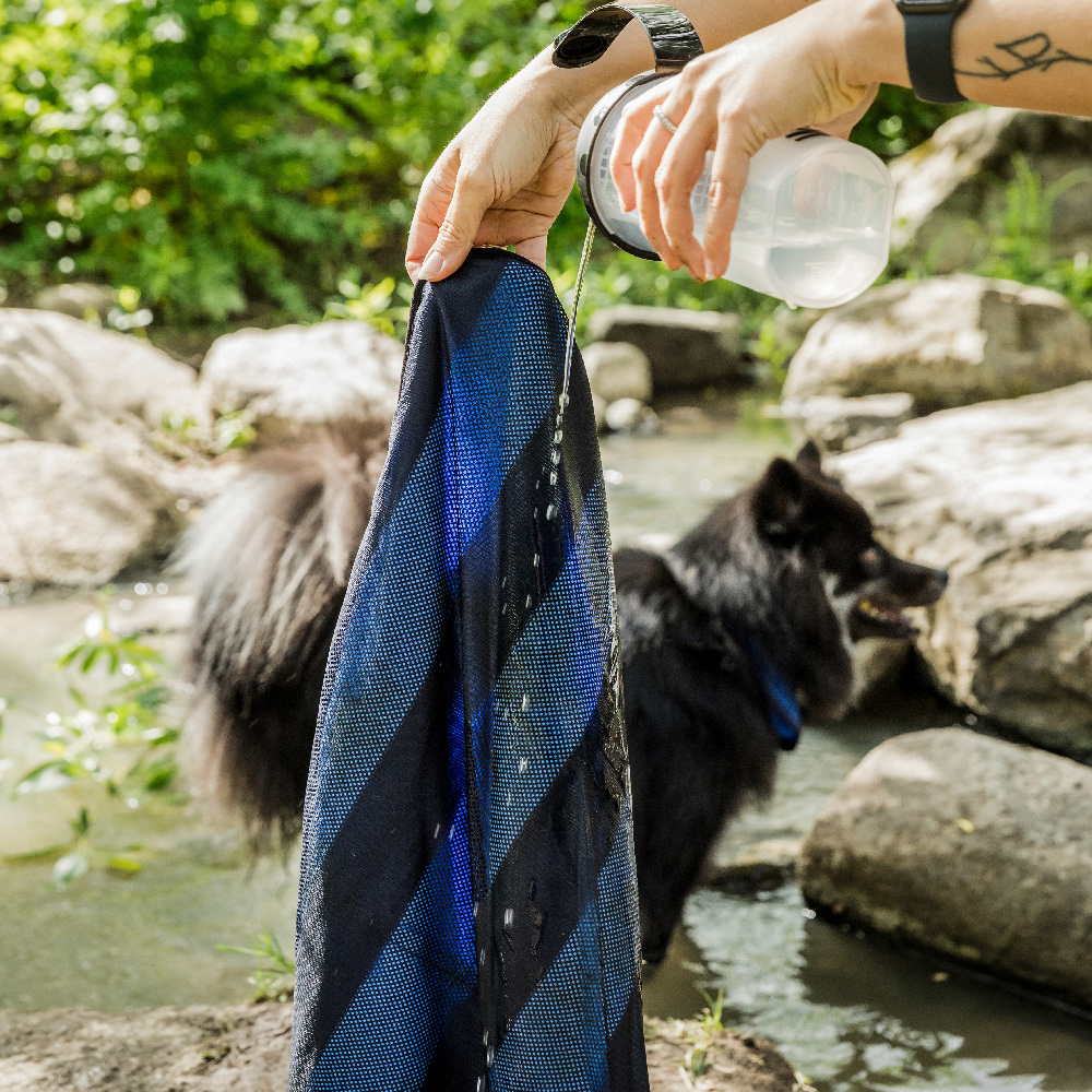 wasserflasche, koppel, tuch, hund, outdoor