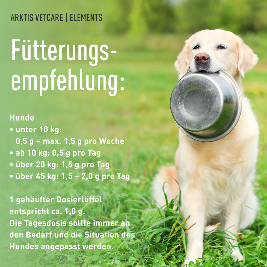 Hund, Futternahrung, Tierfutter, Hundealter, Beutelgröße