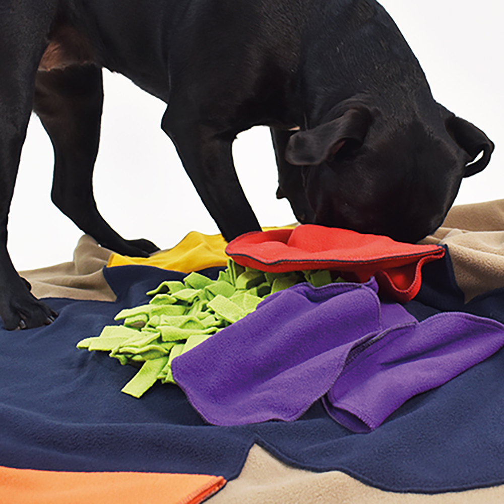 hund, decke, kauspielzeug, farben, stoff