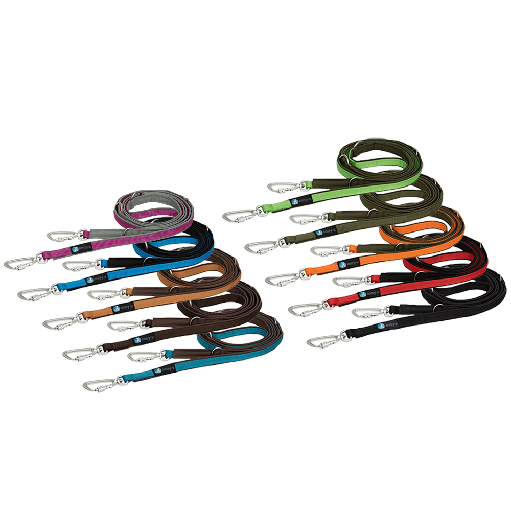 Leine, Hundeleine, bunte, Flachleine, Nylon