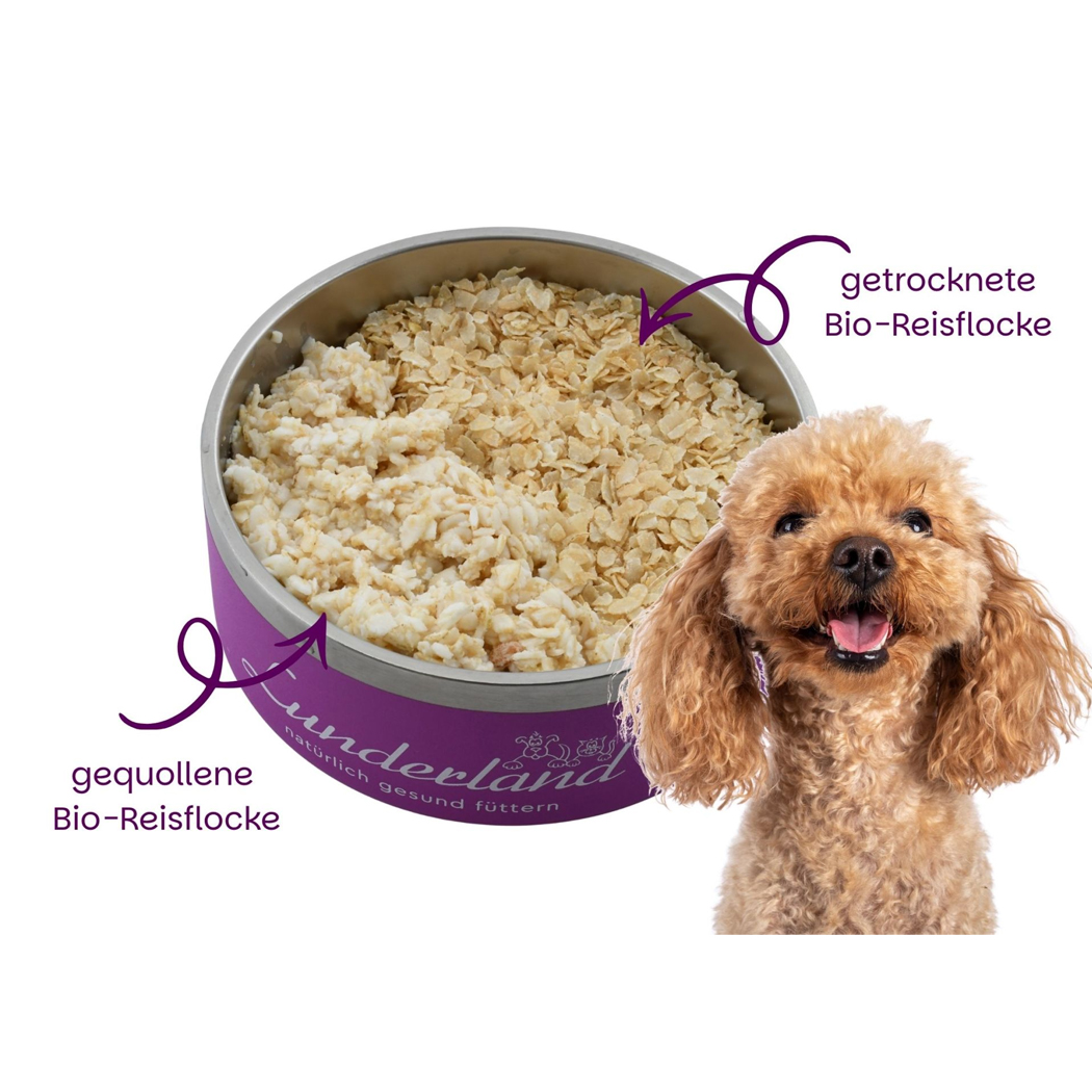 Hunde-Futter, Bio-Reisflocken, getrocknet, Tiernahrung, Körner/Flocken