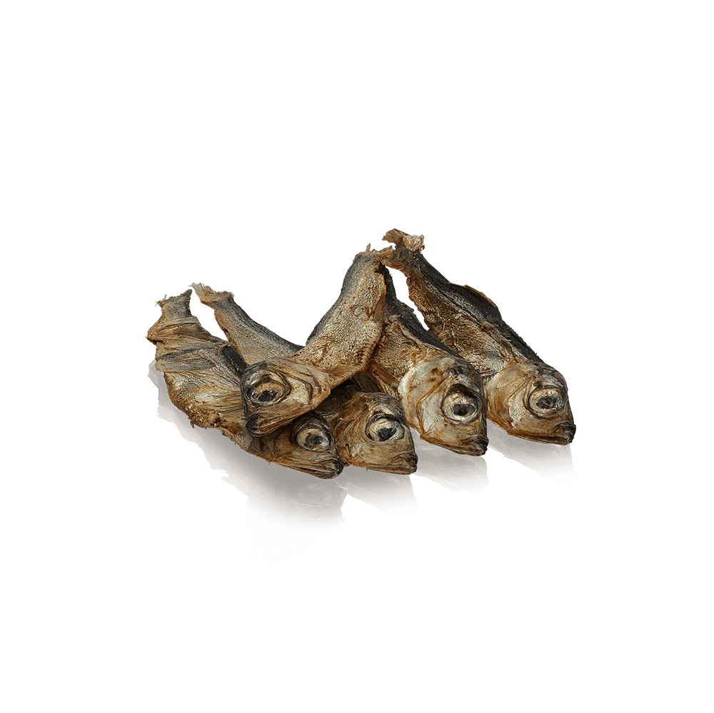 Fische, Hering, Leben im Meer, Holz, Sardine