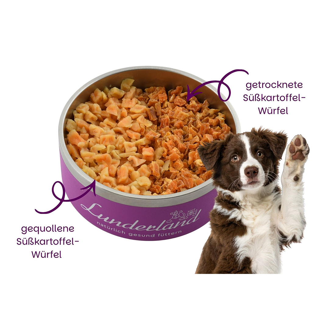 Knabbernahrung, Hunde-Futter, Süßkartoffelwürfel, gequollene Würfel, Hundefutter