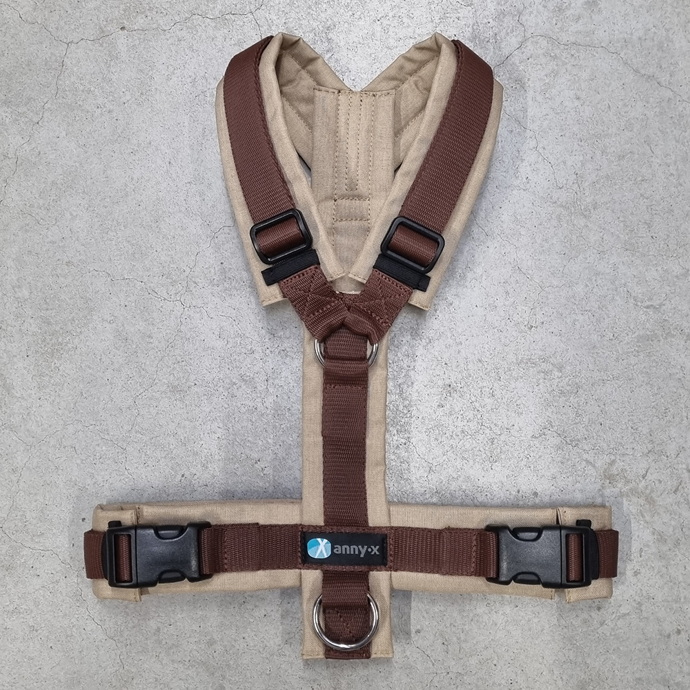 Halterung, Gurtband, Schnallen, Sicherheitsgurt, D-Ring