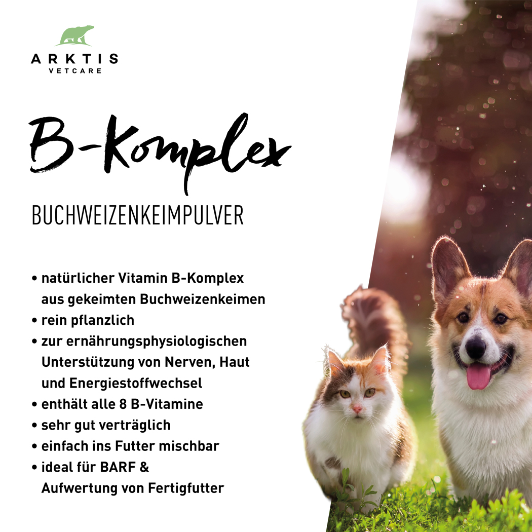 B-Komplex, B Vitamine, Buchweizenkeimpulver, Naturprodukt, Tiernahrungsergänzung