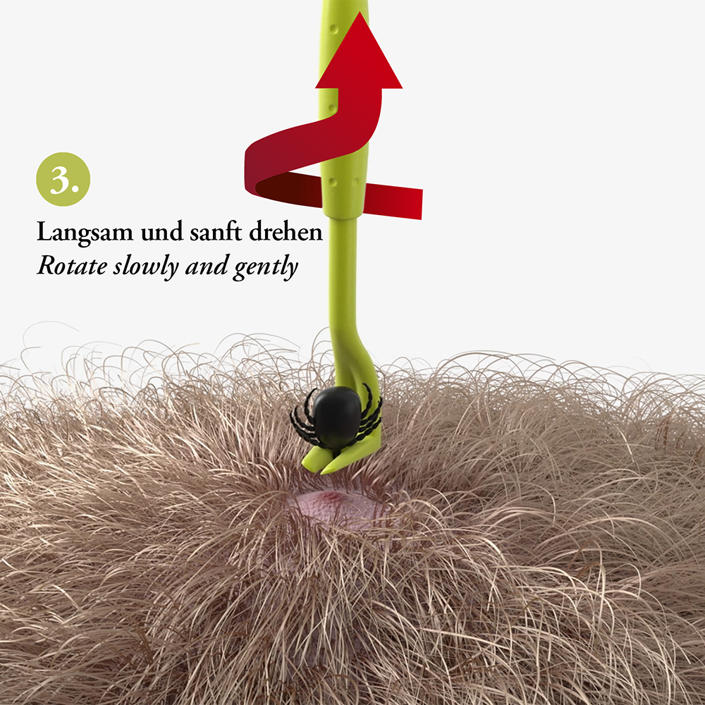 Sicherheitsnadel, roter Anker, grüner Griff, schwarzer Spinne, Schlauchdetail