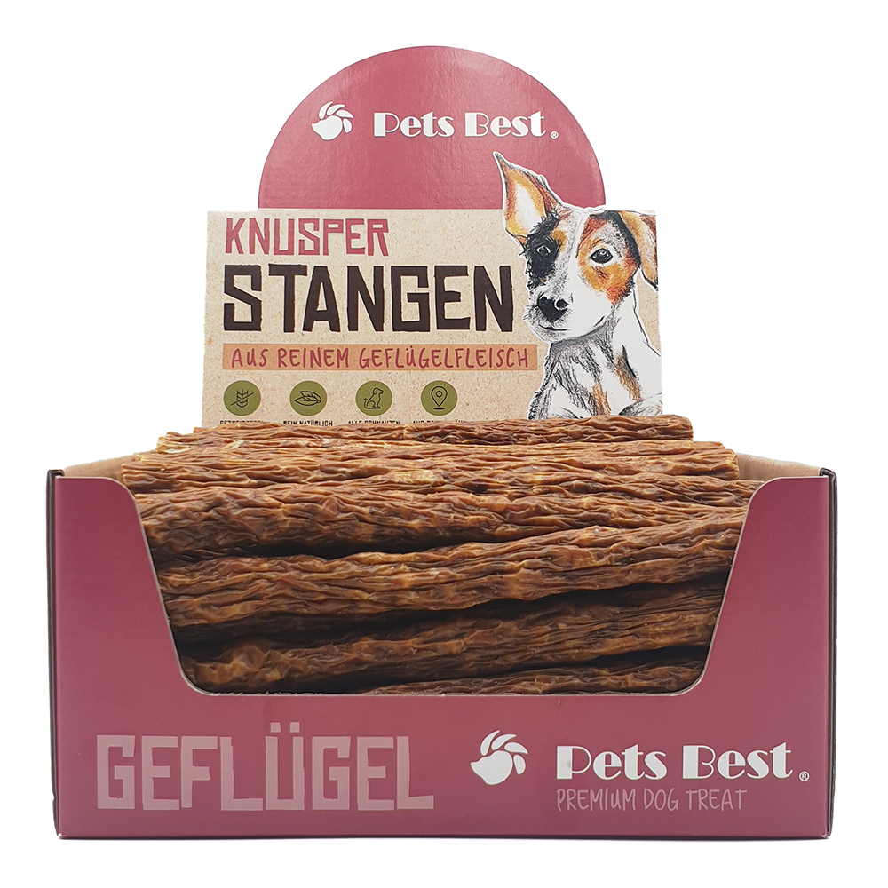Hund, Säugetier, Haustier, Brot, Essen