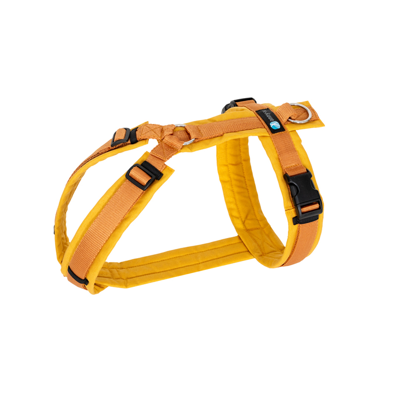 Harness