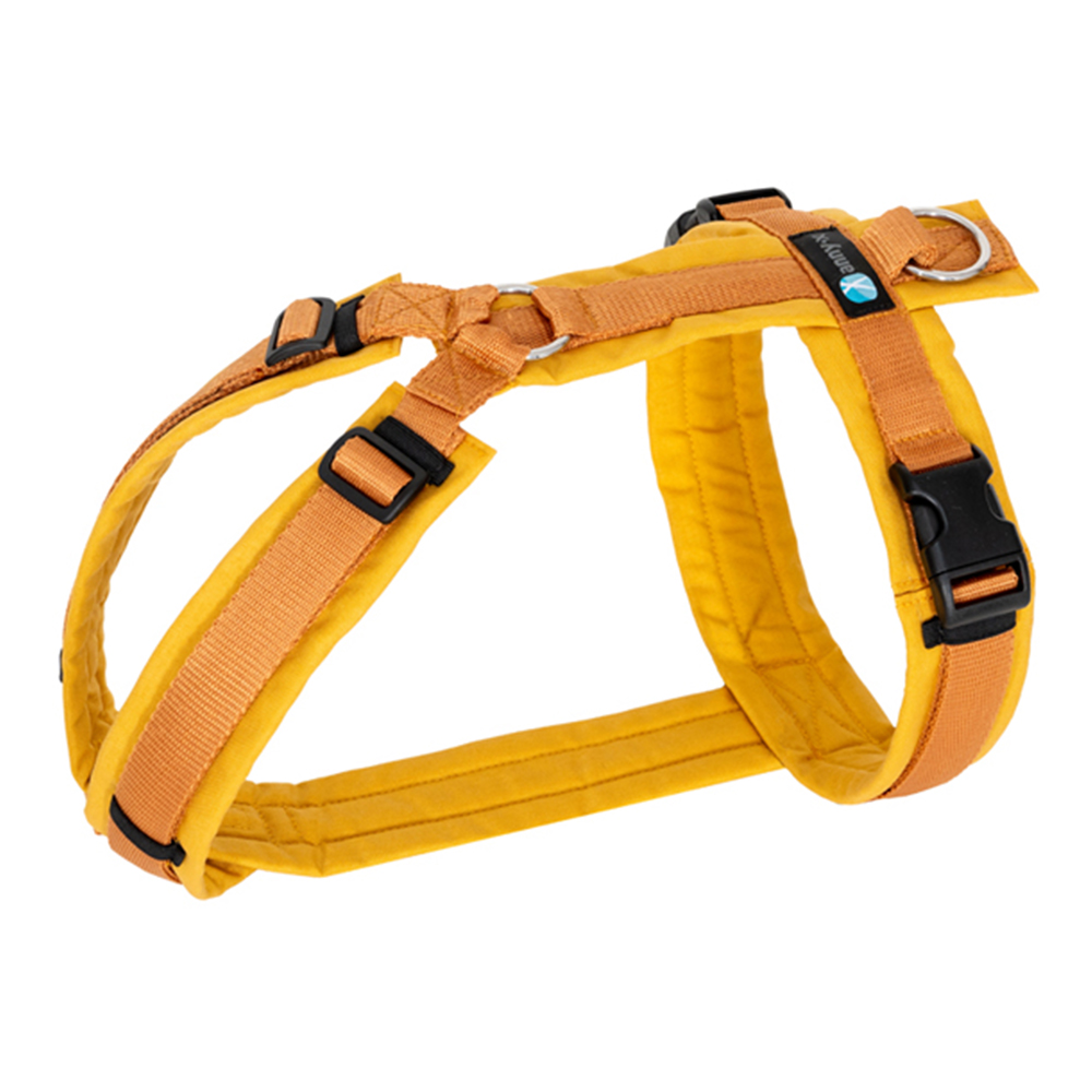 Halsband, Gurt, Gelb, Nylon, Schnalle