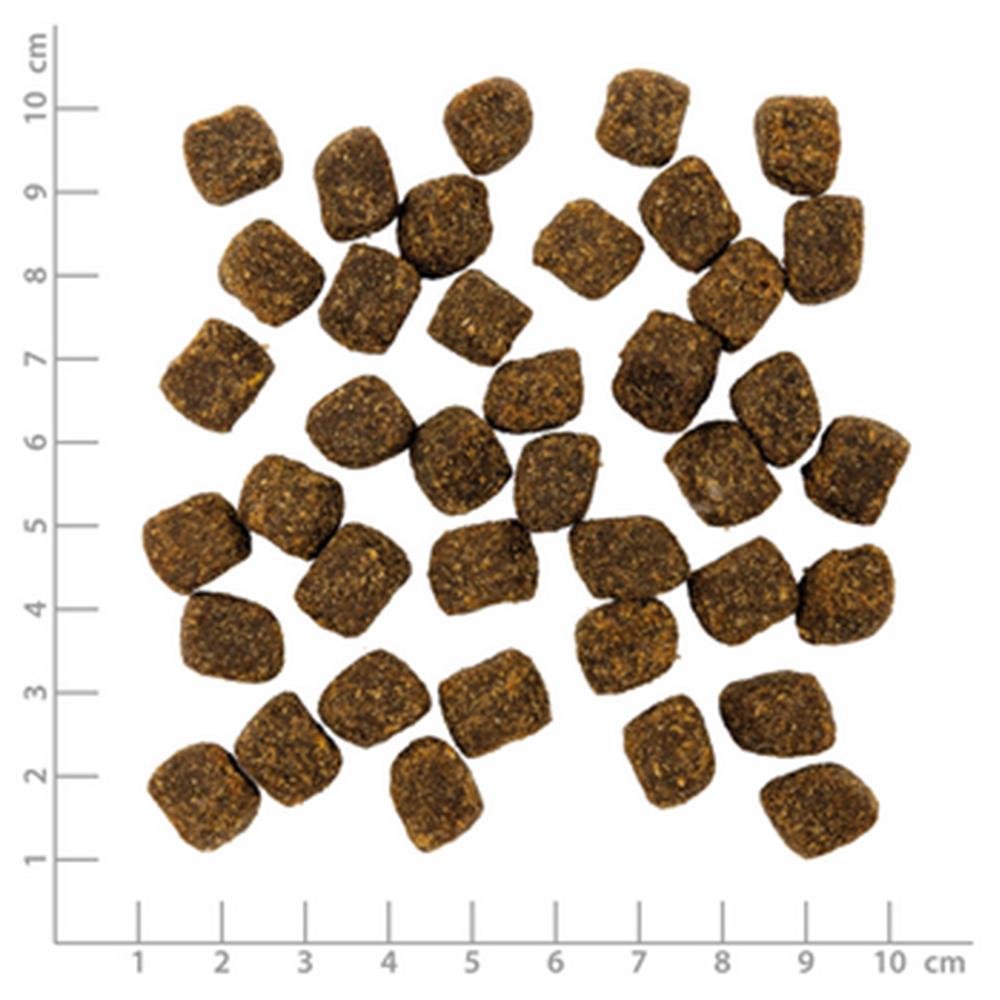 Kroketten, Hundekauartikel, Trockenfutter, Brown, Quadrate