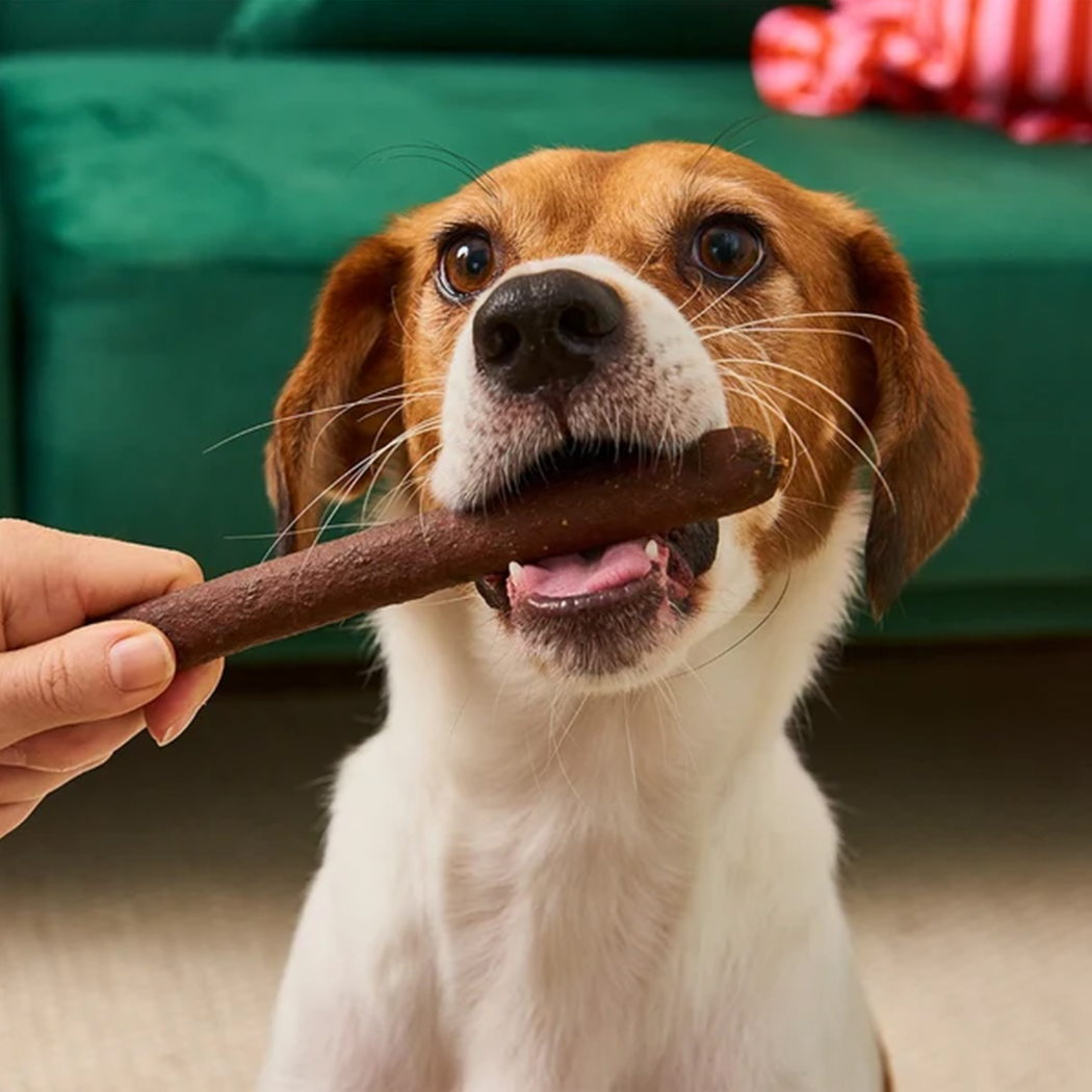 Hundekauartikel, Kaustange, braun, knochenförmig