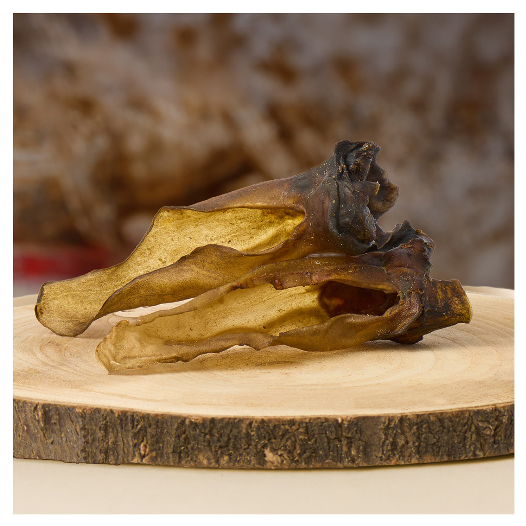 lederstück, holzplatte, getrocknet, naturmaterial, trocknung