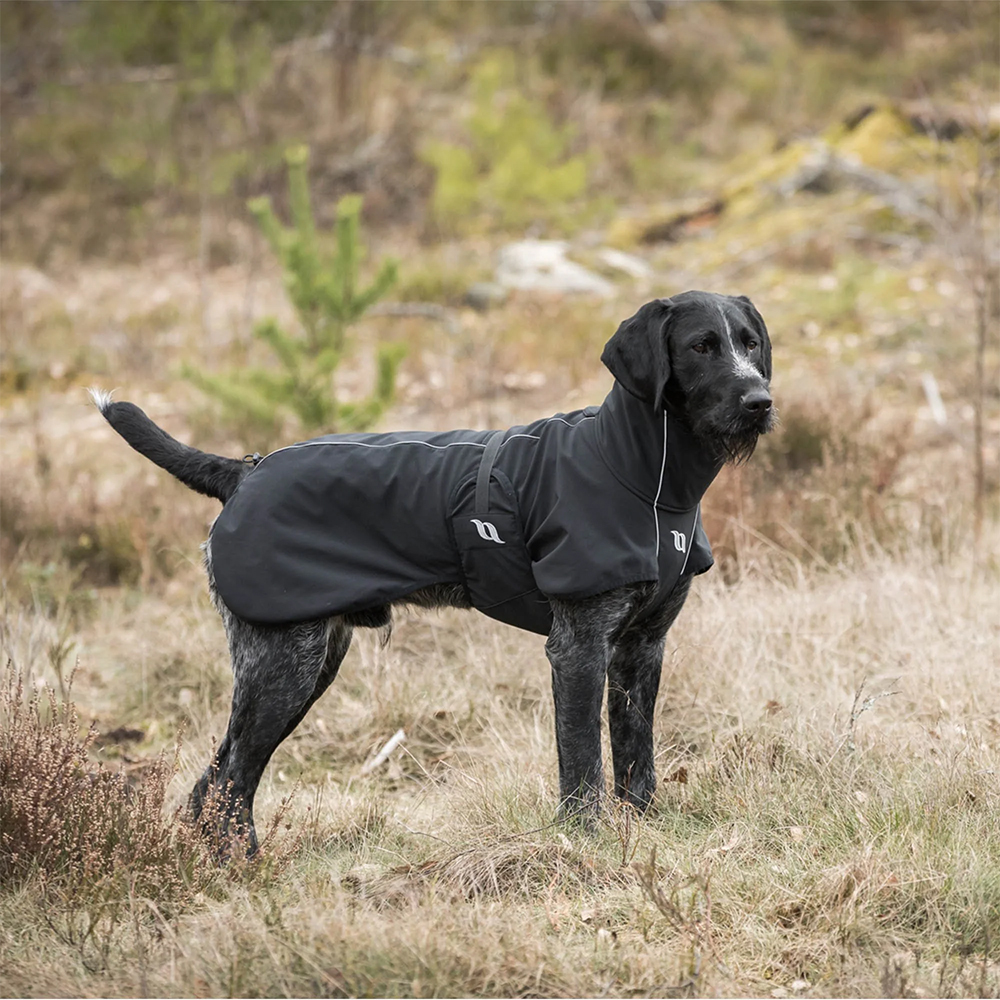 hund, mantel, grau, windjacke, hund
