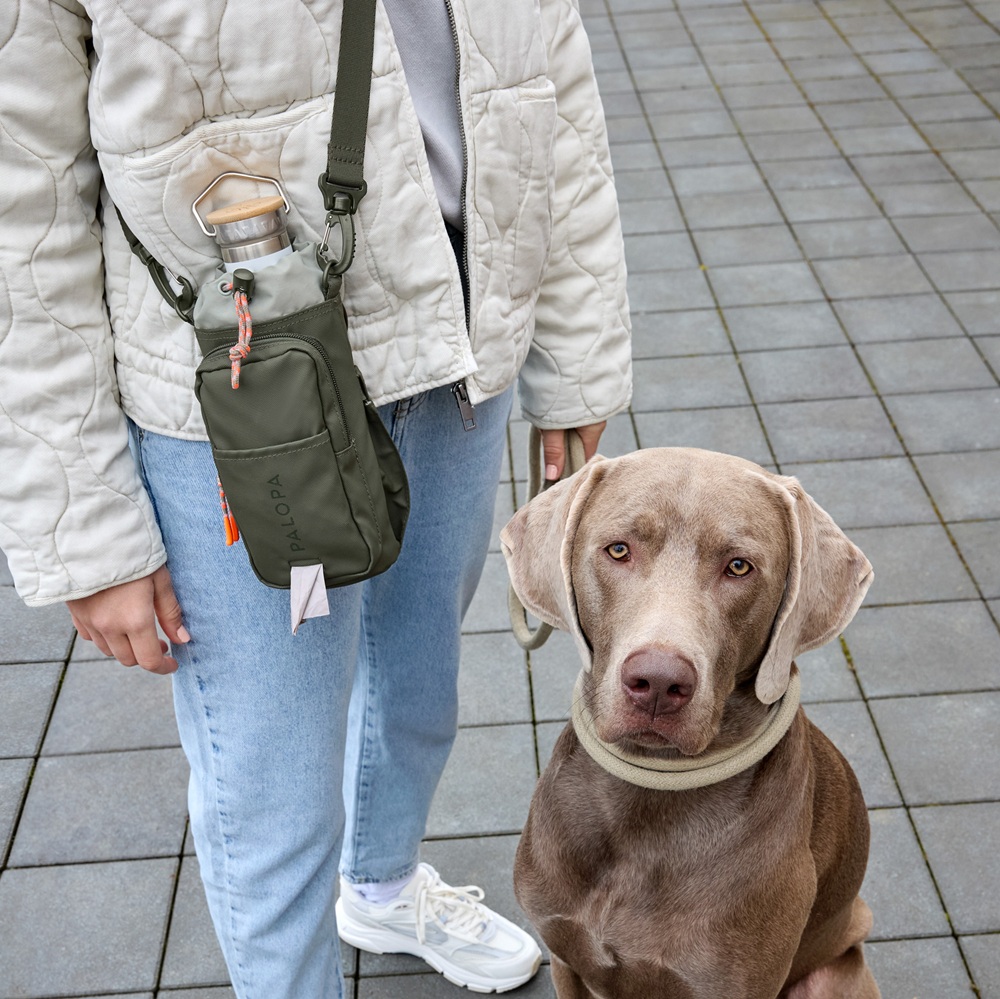 Hosen, Schuh, Handtasche, Hund, Jeans
