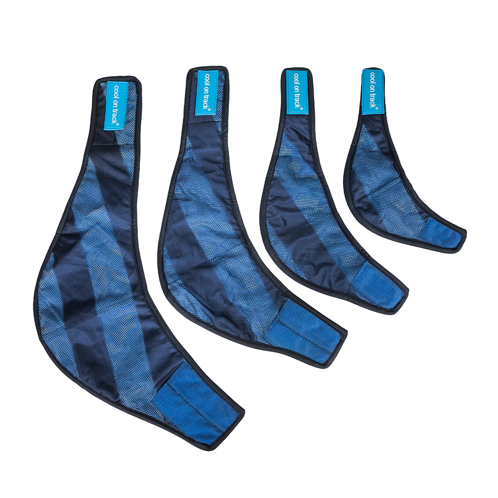 Gummiseil, Bogenbinde, blaue Träger, Mehrfachpack, Faltband