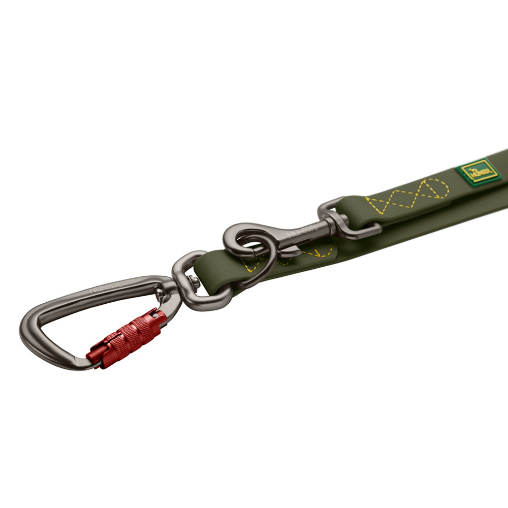 Hundeleine, Leine, Split-Ring, Karabiner, grünes Band