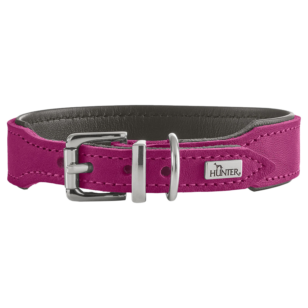 Kleidung, Halsband, Tierbedarf, Gurtband, Magenta