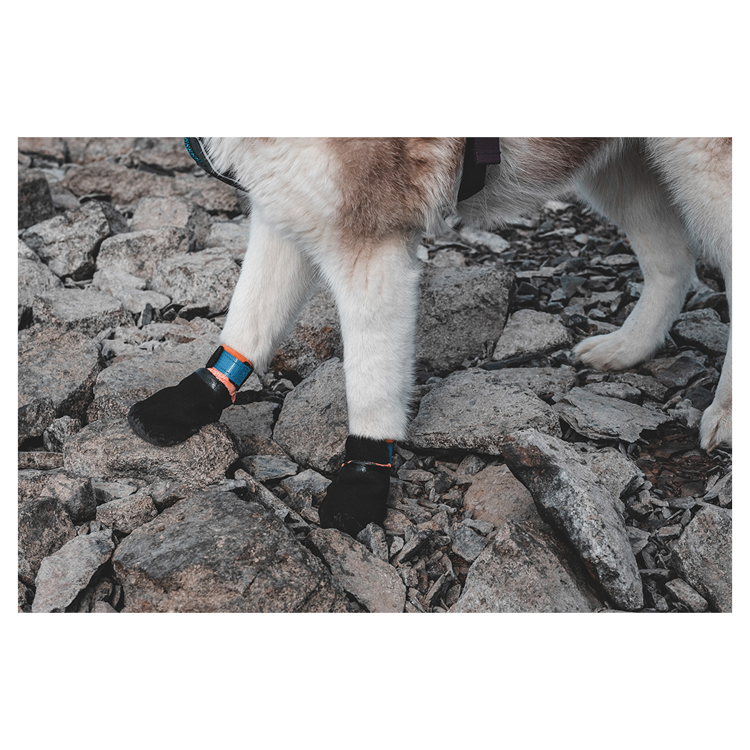 Hundestiefel, Knöchelstiefel, felsiger Untergrund, Pfoten-Schutz, Tierzubehör