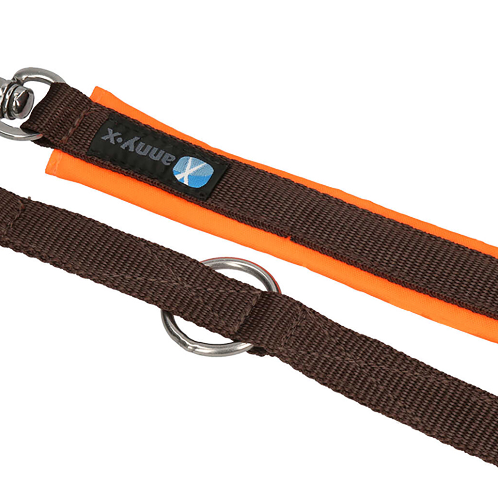 Leine, Brustband, Klickverschluss, Reflektor, Nylon