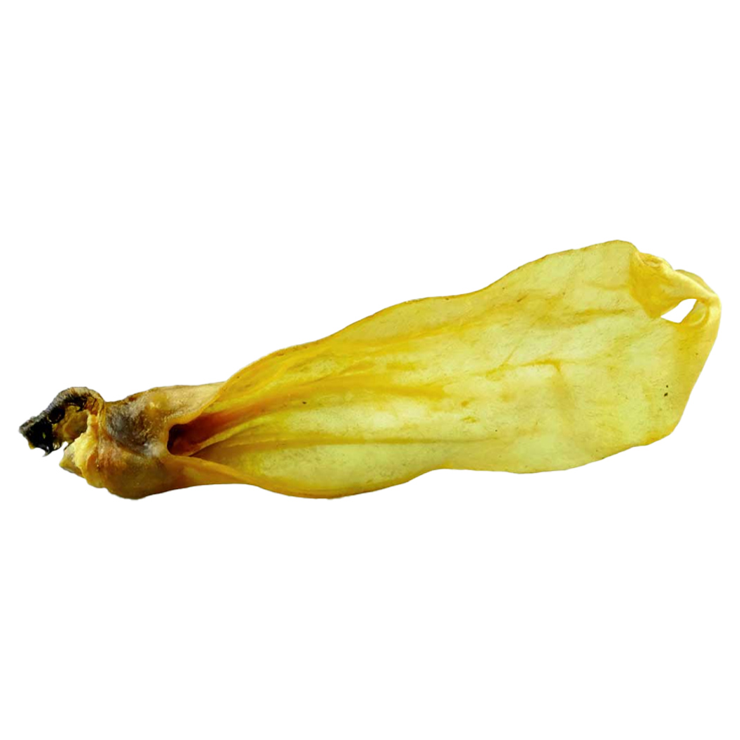 sternfisch?, trocken, gelb, frucht-gemüse, trommelstiel?