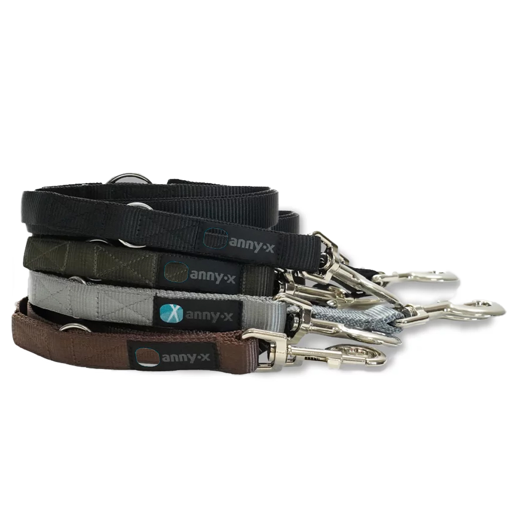 Hunde-Leine, Kunststoff-Halter, Flachleine, Nylon-Leine, Klettverschluss