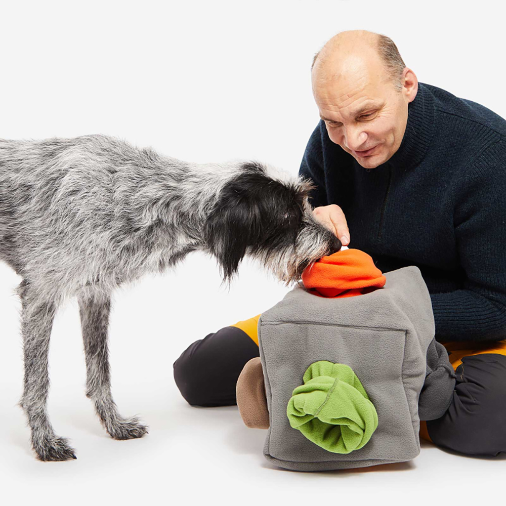 Hund, Hundespielzeug, Rucksack, Rucksackspielzeug, weiches Spielzeug