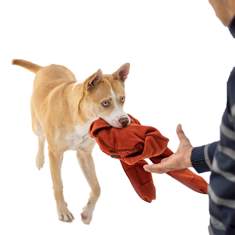 Hund, Hunde-Spielzeug, Kleidung, Kuscheltuch, Rot