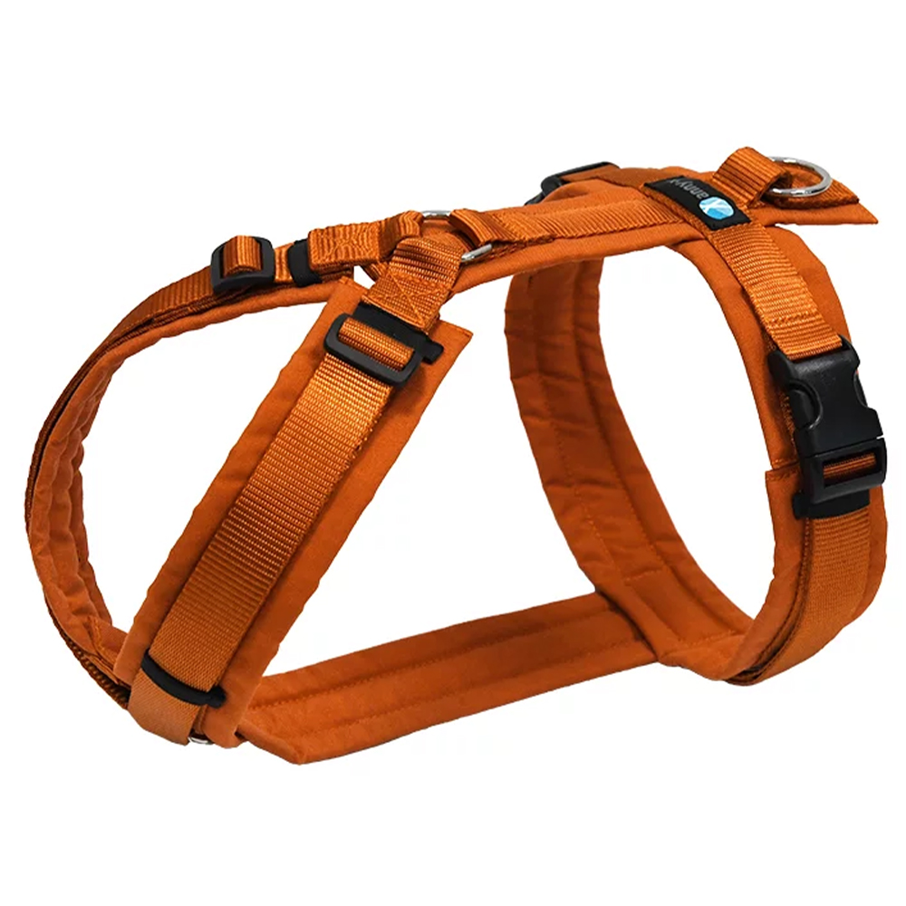 Hundegeschirr, Klettergeschirr, Reflektierende Streifen, Gurtband, orange