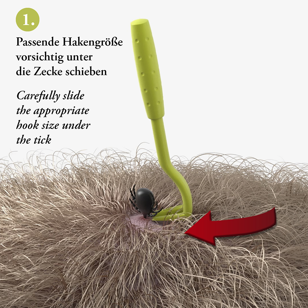cosmetic remover, tick removal, ingrown hair tool, grooming tool, hair follicle access