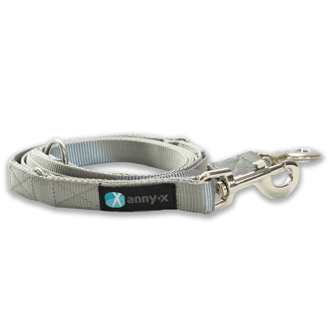 Hundeleine, graues Gurtband, Metallkarabiner, verstellbare Leine