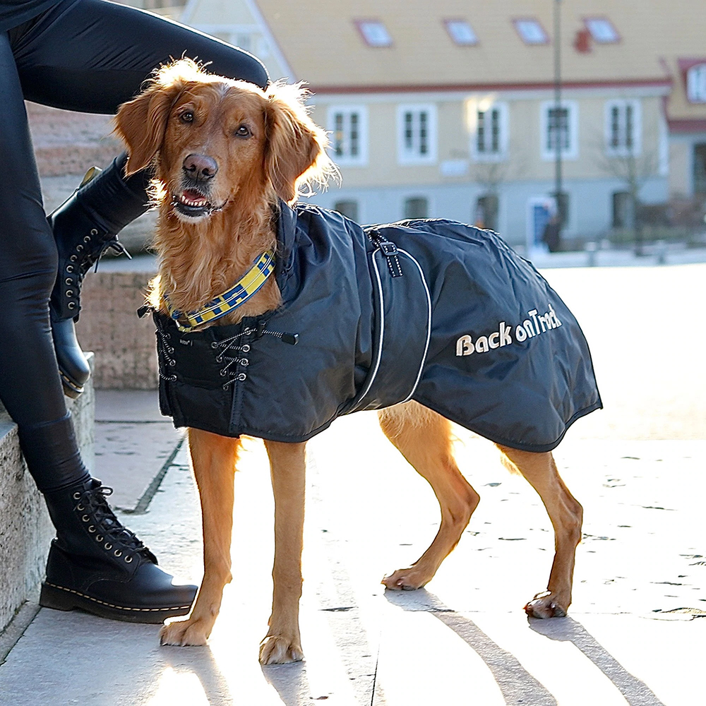 Back on Track Hundemantel 46cm schwarz