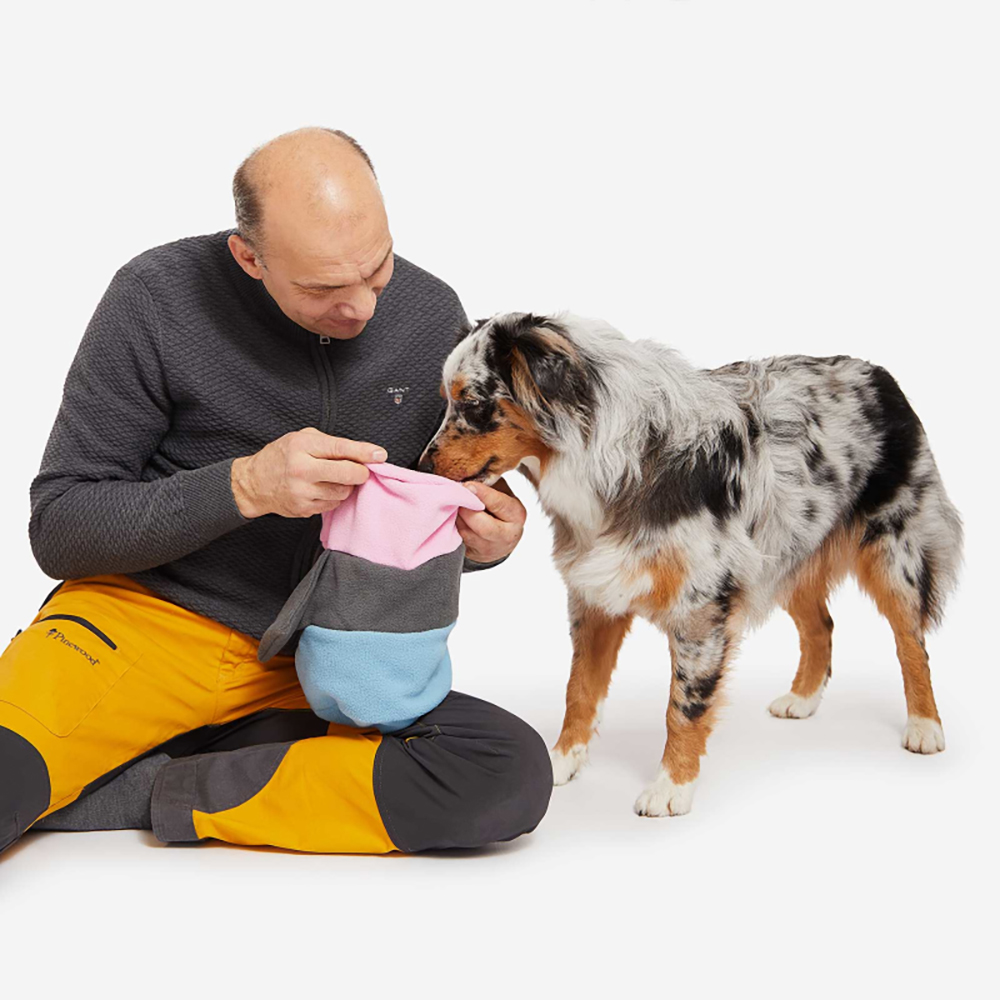 Erwachsener, Männlich, Mann, Person, Hund