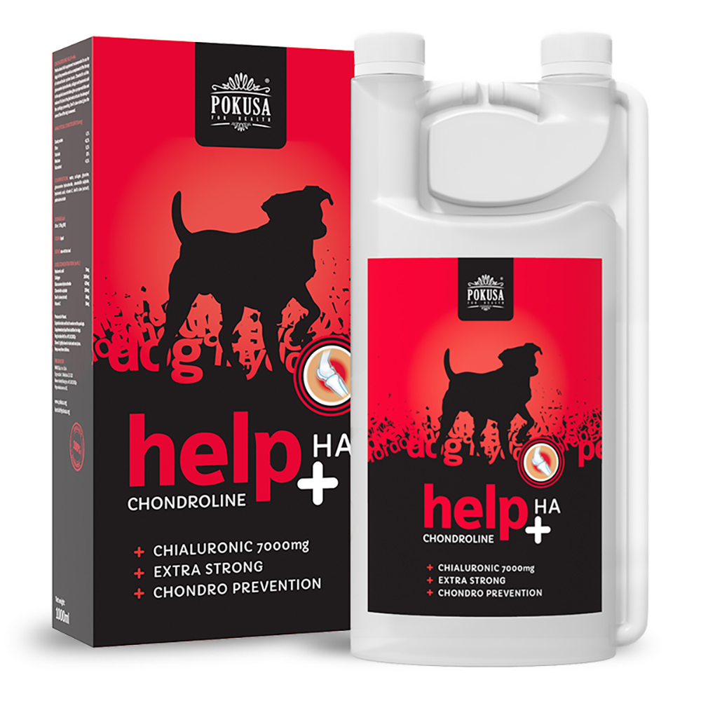hund, haustierersatz, chondroline, ha, hondroline prävention, Gelenkpflege, flüssigespräparat, verpackung flasche, rot schwarzes design, markenetikette nicht erlaubt