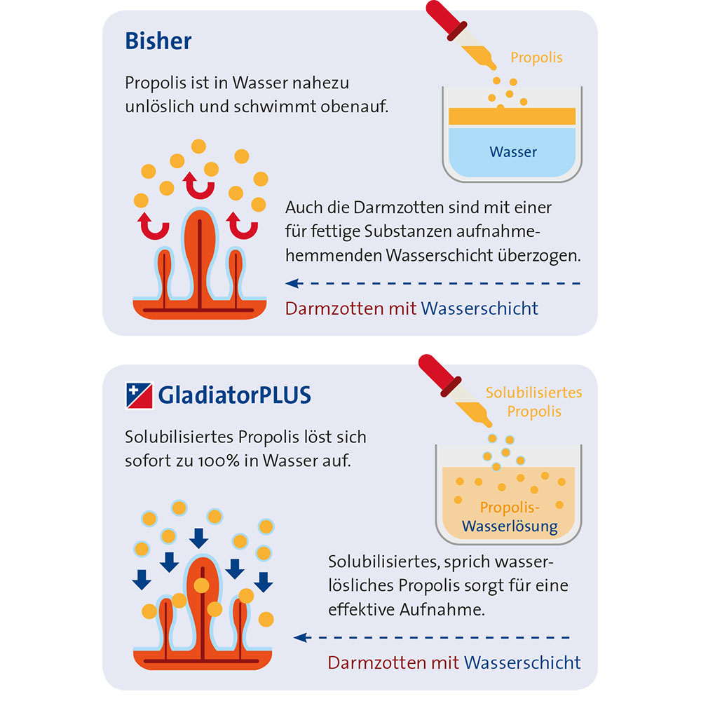 Propolis, Wasserhülle, Darmzotten, Wasserschicht, Lösung