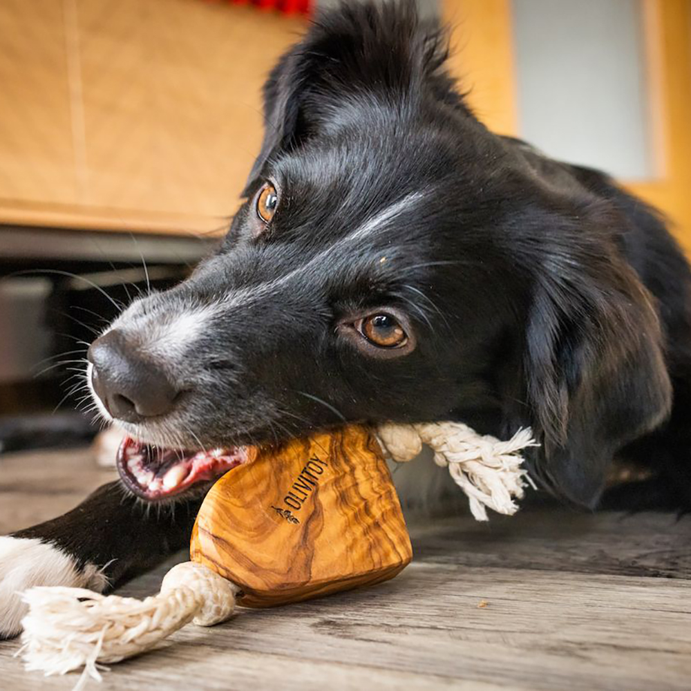 Hund, Schwarz, Weiß, Kau-Spielzeug, Holzspielzeug